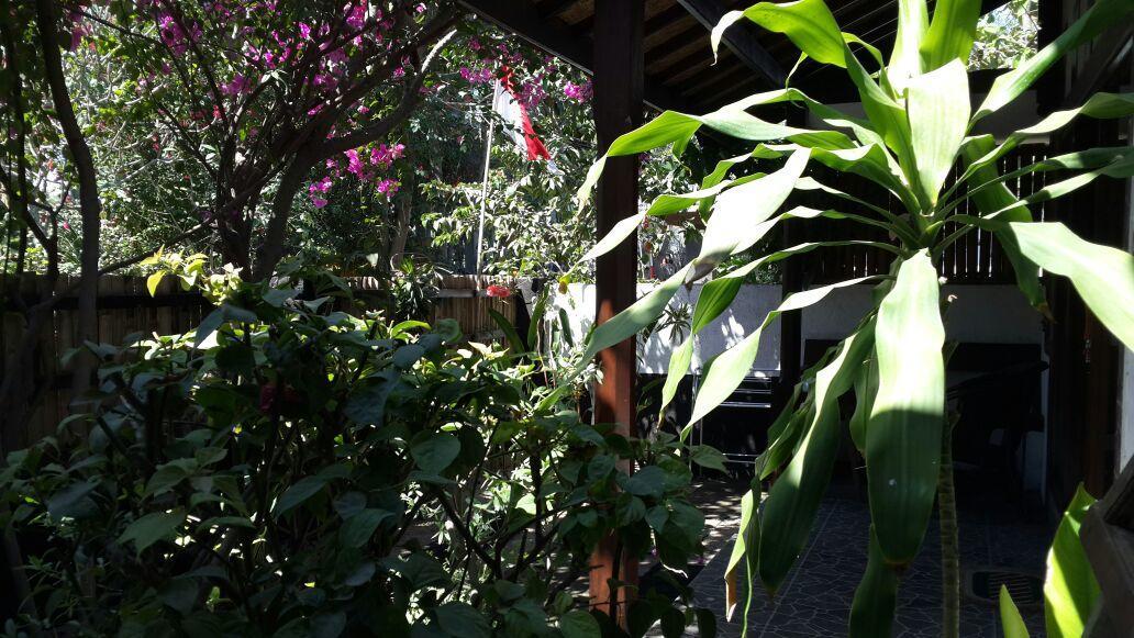 Dili Gili Bed and Breakfast Τζίλι Τραγουανγκάν Εξωτερικό φωτογραφία