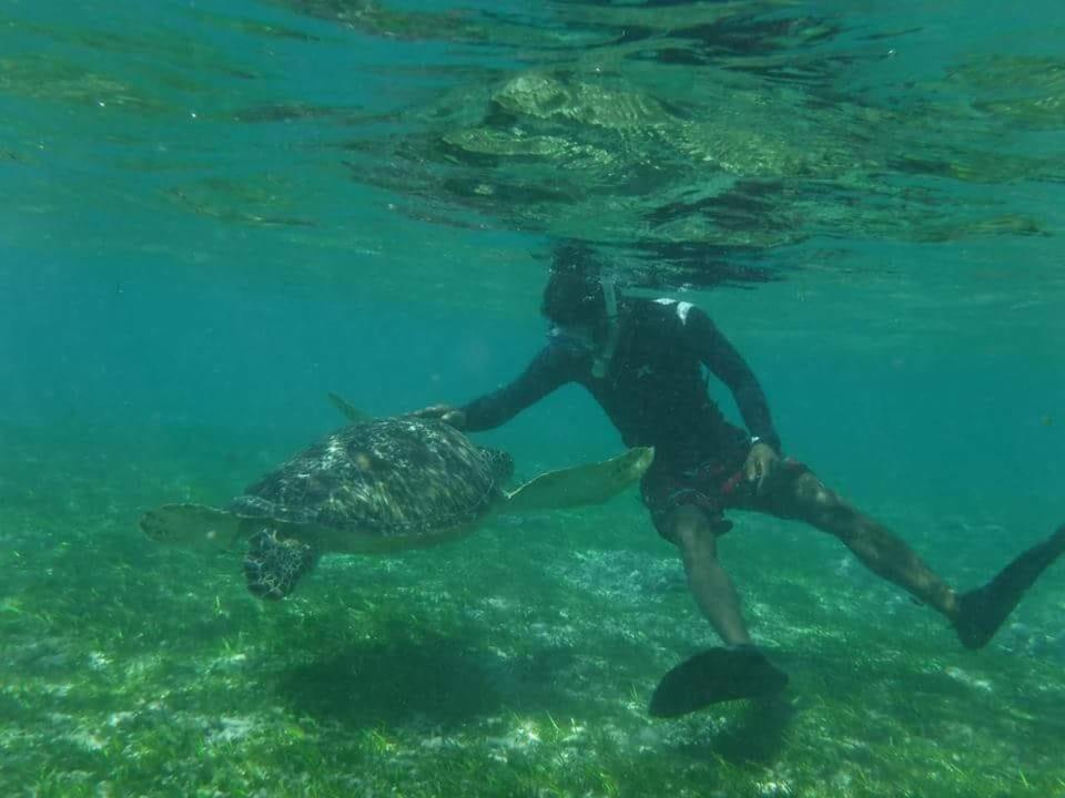 Dili Gili Bed and Breakfast Τζίλι Τραγουανγκάν Εξωτερικό φωτογραφία